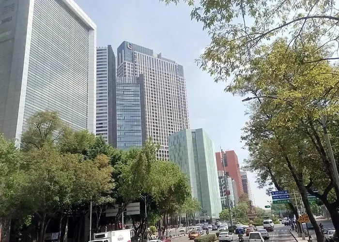 Con Luz Y Lunas Del Río Amazonas, Por Reforma 222 México DF