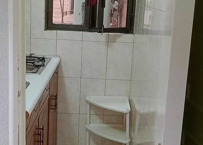 Con Luz Y Lunas Del Río Amazonas, Por Reforma 222 Apartamento *
