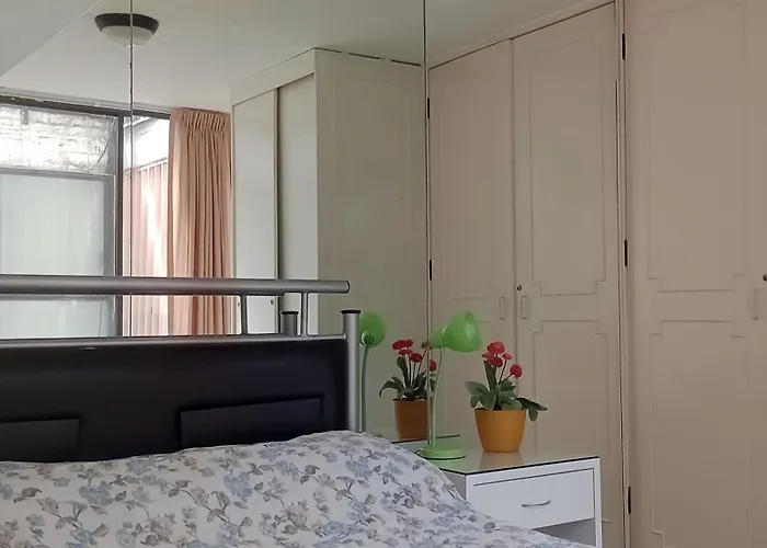 Apartamento Con Luz Y Lunas Del Río Amazonas, Por Reforma 222 *